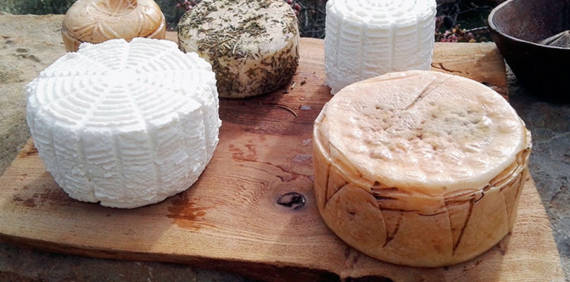 ¿Qué diferencia a un queso artesano de uno que no lo es?